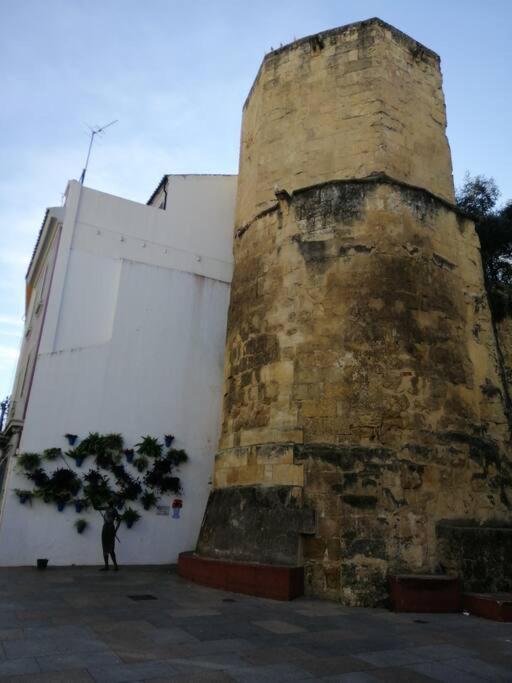 Trotamundos, Apartamento Nuevo En El Centro Córdoba Eksteriør billede